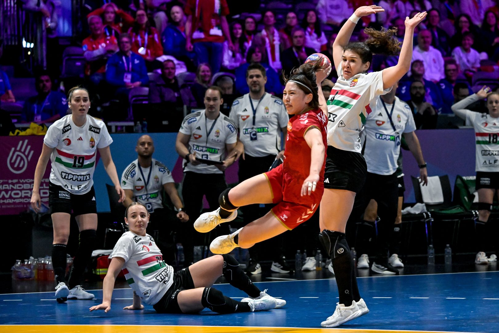 SIMON Petra; TÓVIZI Petra