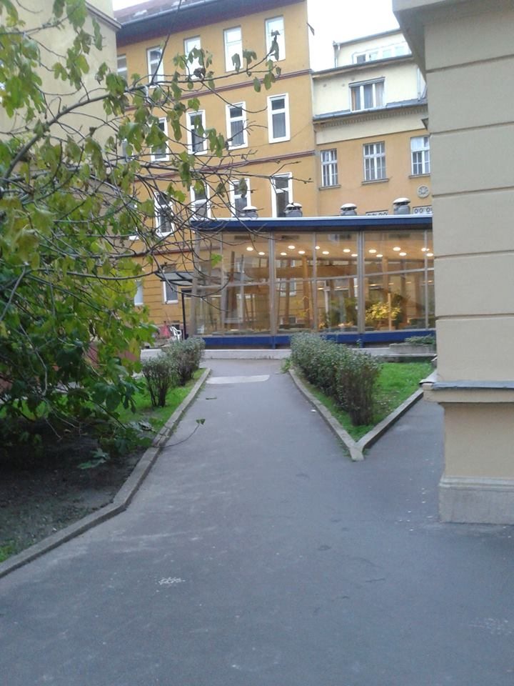 a fügefa mellett mindenki elmegy - Horvárh András (1)