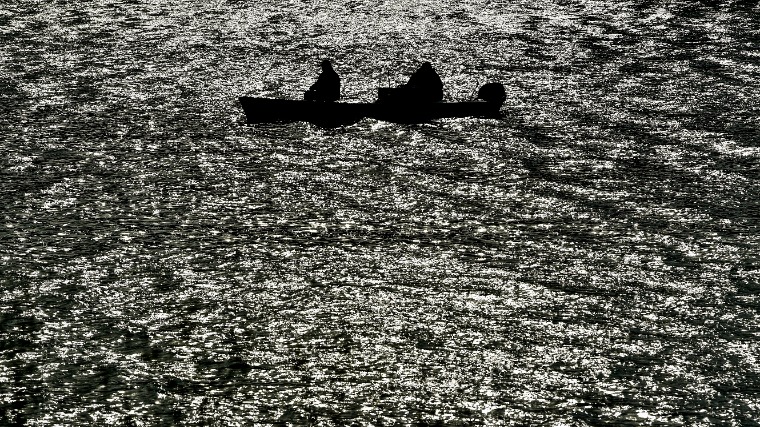 A Tisza élővilágának emléknapja - Húsz éve történt a tiszai ciánszennyezés