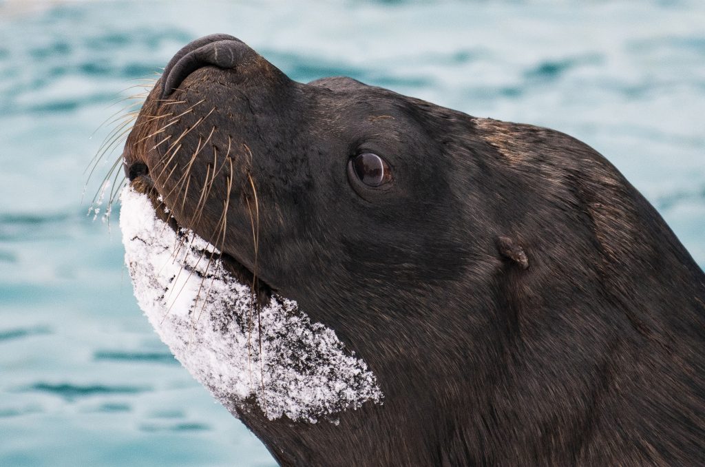 Havazás Nyíregyházán