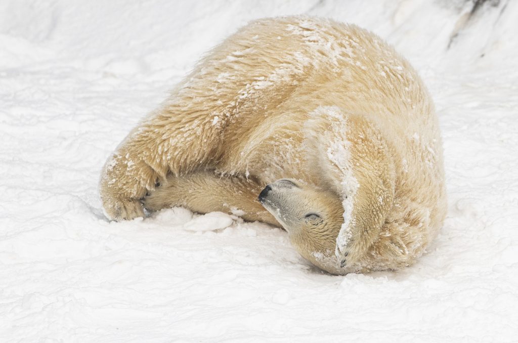 Havazás Nyíregyházán