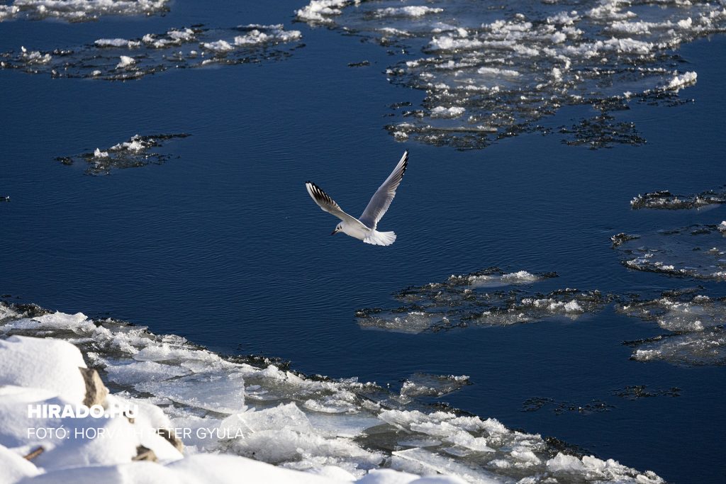 Fotó: MTVA / Horváth Péter Gyula