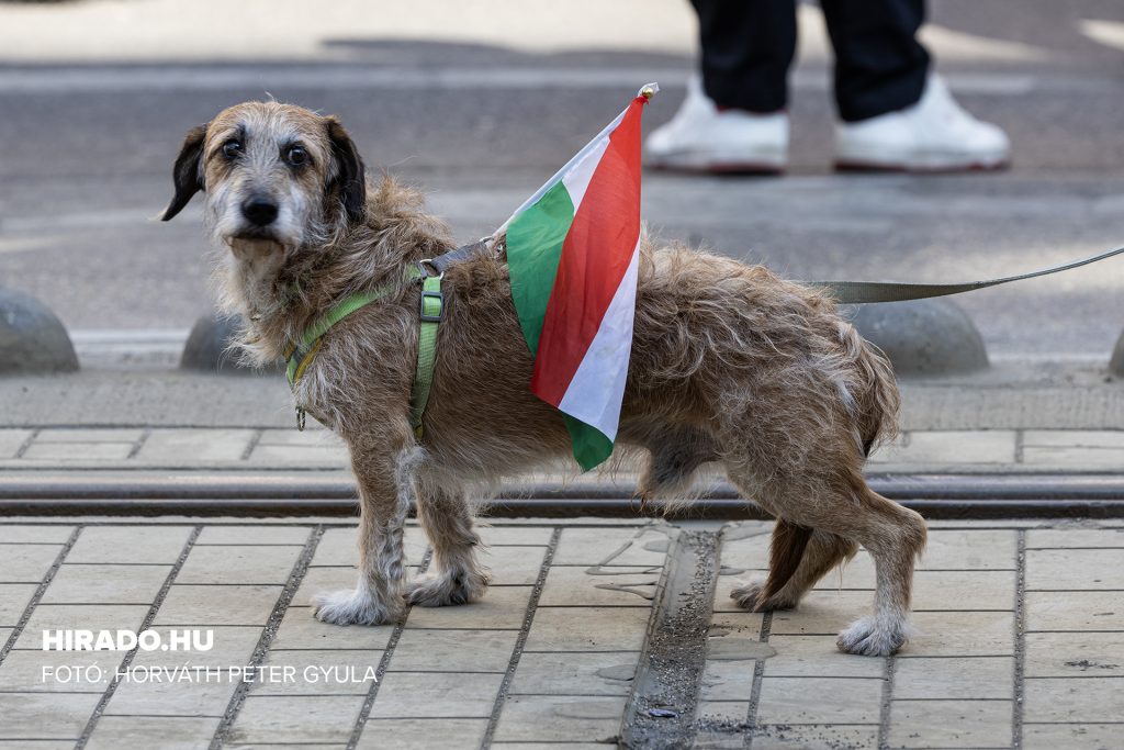 Fotó: MTVA / Horváth Péter Gyula