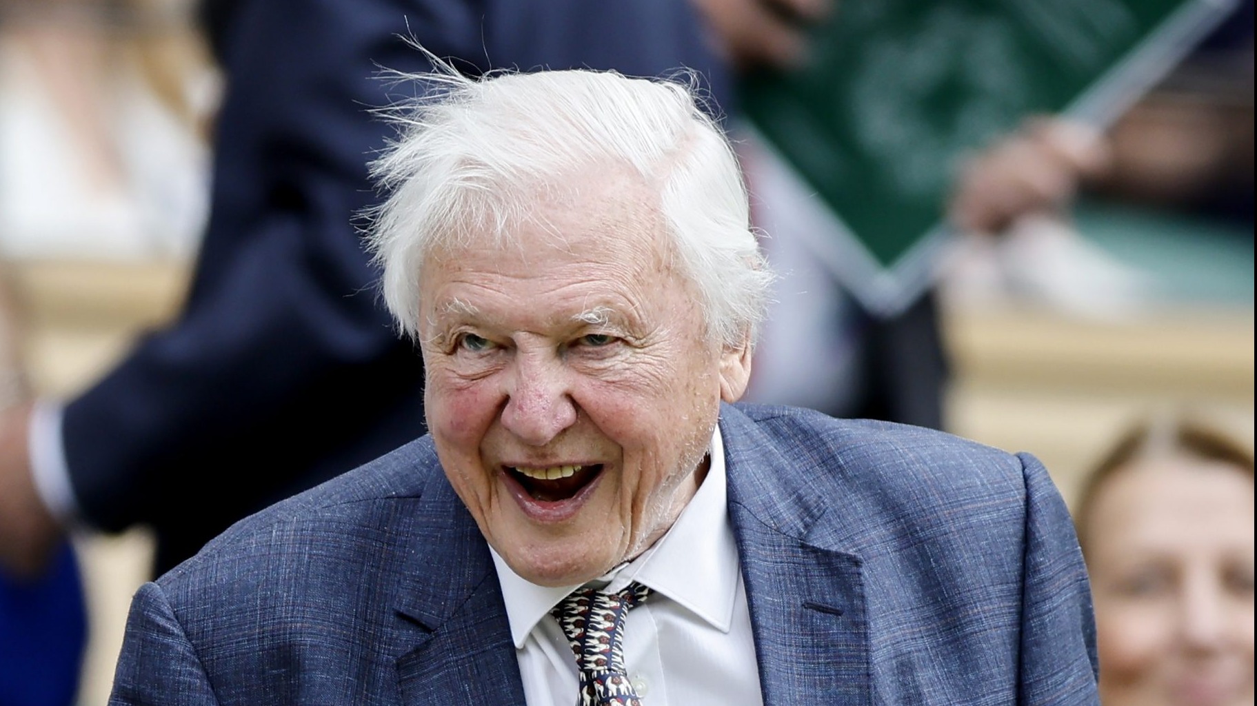 Darázsfajt neveztek el David Attenborough-ról 100. születésnapja alkalmából